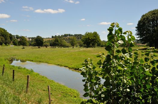 Fence in a meadow