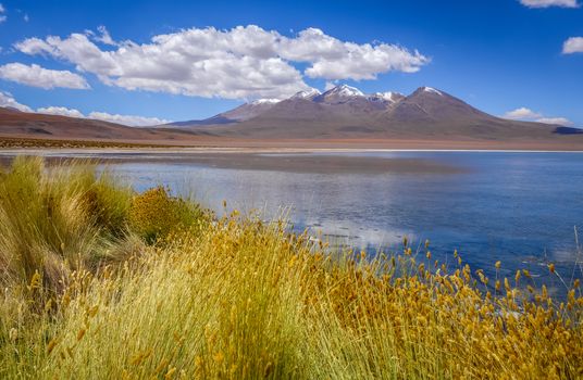 Altiplano laguna in sud Lipez reserva Eduardo Avaroa, Bolivia