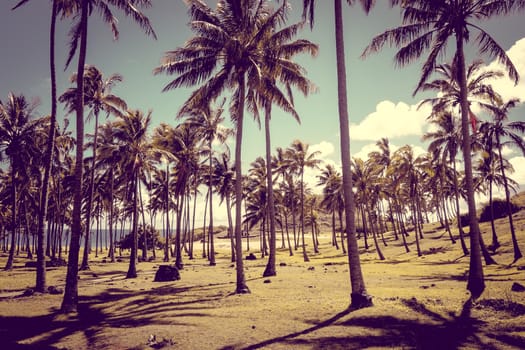 Anakena palm beach and Moais statues site ahu Nao Nao, easter island, Chile