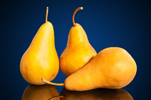 Three yellow pears on a glass table with reflection