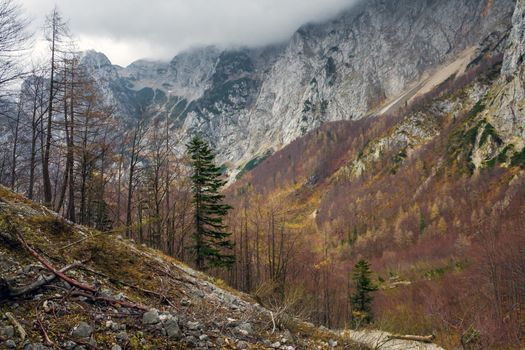 Autumn in Logar Valley (Logarska Dolina). Slovenia