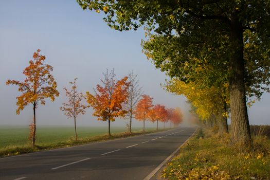 Road to the autumn mist
Czech Republic