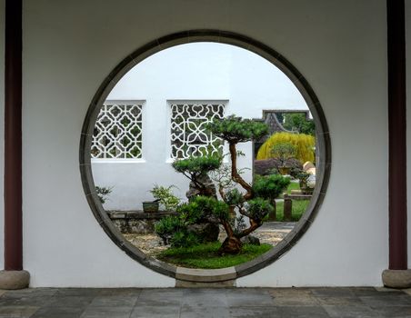 Beautiful big bonsai tree through circle entrance to the garden