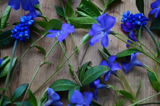 spring blue flowers on wooden background