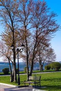 landscape in the city Park bench under a lamp