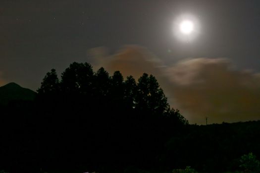 Moon with trees and clouds