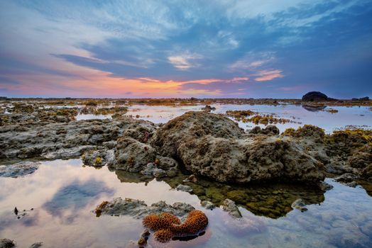 Colourful sunrise, orange coral and stones in  low tide ocean water