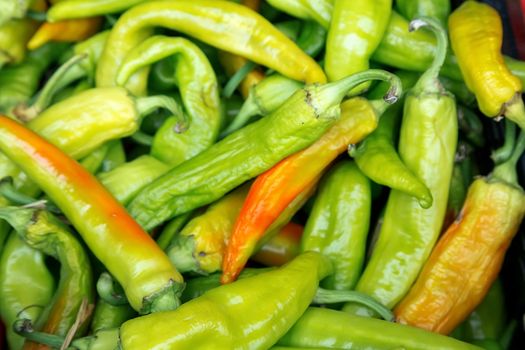 Coloreful Green chili pepper high contrast background