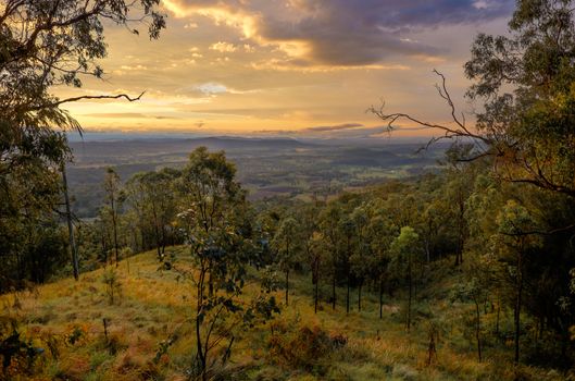 Sunset in Kondalilla national parc. Australian viewpoint landscape
