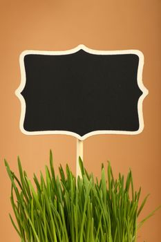 Fresh spring green grass with black chalkboard sign copy space, close up over brown kraft paper parchment background, low angle side view