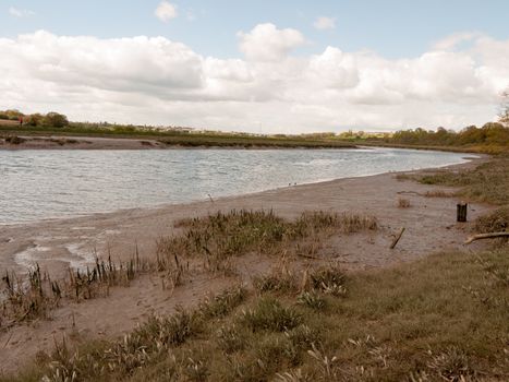 A Waterway River Through the UK with Low Tide and Birds Wading in the Water and the Mud Bank with A Cloudy Blue Sky and Brown Grassy Land in Spring