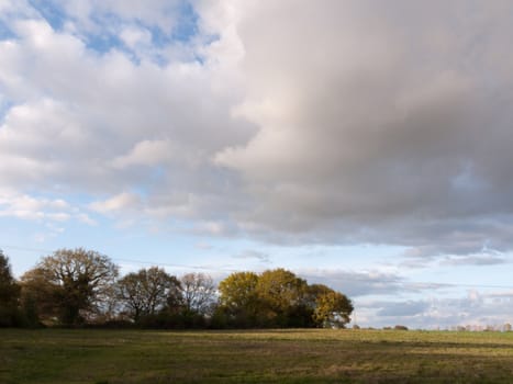 wonderful full detail landscape shots of the farm in the country with an open field and some trees and forest in the distance with plenty of white thick clouds overhead in spring