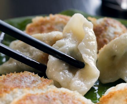 COLOR PHOTO OF FRIED DUMPLINGS FILLED WITH MINCED CHICKEN AND SPRING ONION