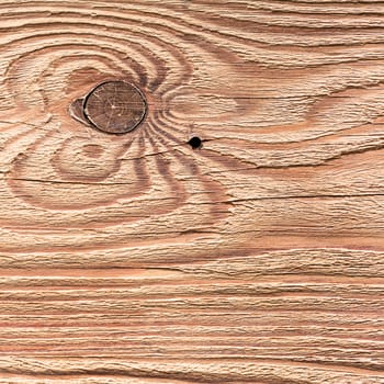 abstract background of natural wood texture closeup