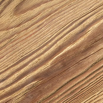 abstract background of natural wood texture closeup