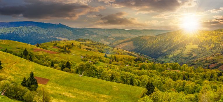 Panoramic rural landscape. forest in mountain rural area. green agricultural field on a hillside. beautiful summer scenery at sunset