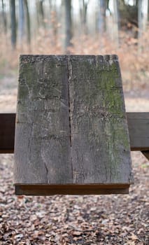 Two wooden books, in the background a forest (out of focus)