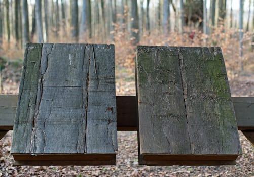 Two wooden books, in the background a forest (out of focus)