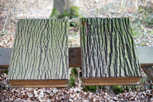 Two wooden books, in the background a forest (out of focus)