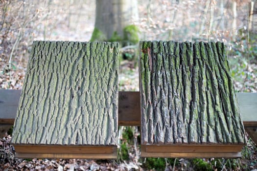 Two wooden books, in the background a forest (out of focus)