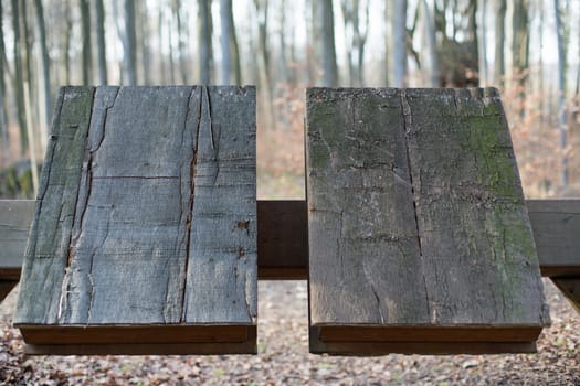 Two wooden books, in the background a forest (out of focus)