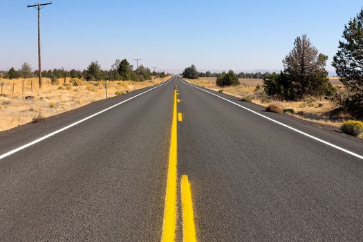 Middle of the Highway in Central Oregon on a sunny day