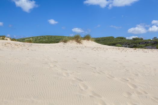 Sand and sky and summer day