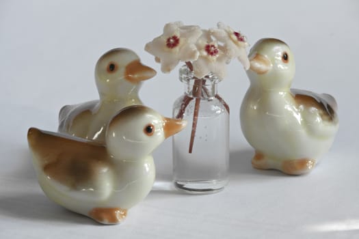 Ducklings and Hoya flowers still life macro shot