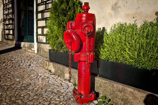 A closeup red fire hydrant on a street