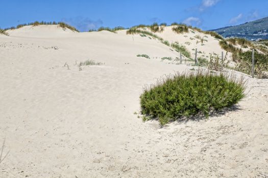 Sand and sky and summer day