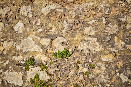 Part of a stone wall . Background or texture
