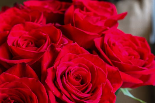 Close up of red roses.