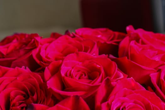 Close up of red roses.