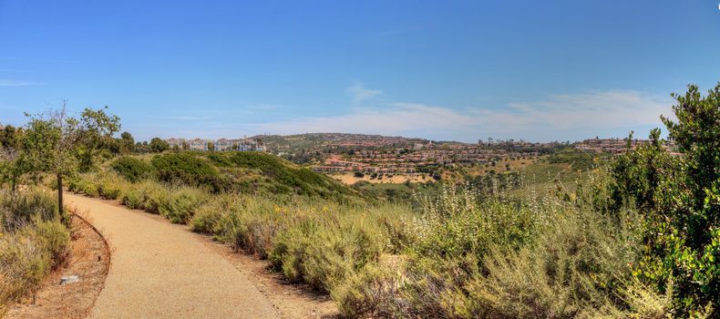 Green plants and dirt path of Bobcat Hiking Trail in Newport Beach, California in spring