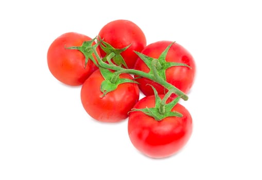 Branch of the ripe red tomatoes with droplets of dew closeup on a light background
