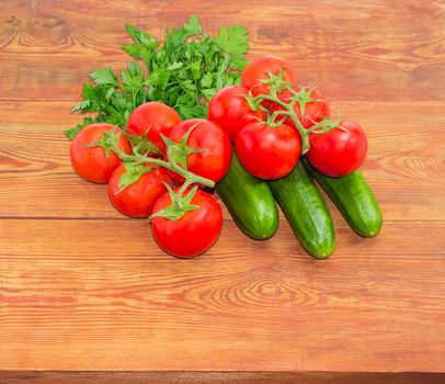 Three cucumbers, two branches of the ripe red tomatoes with droplets of dew and a bundle of the parsley on a surface of the old wooden planks
