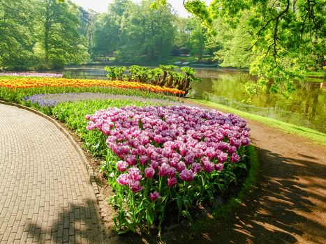 Flowerbed of the tulips of the different colors and other flowers on the shore of the reservoir in Keukenhof Park
