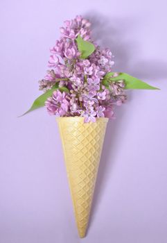 lilac in cone on paper background