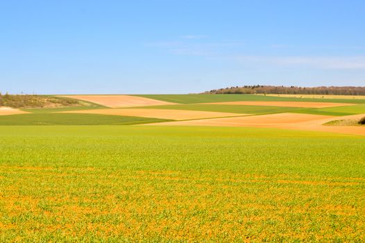 Meadows and crops in the countryside of the Meuse in France