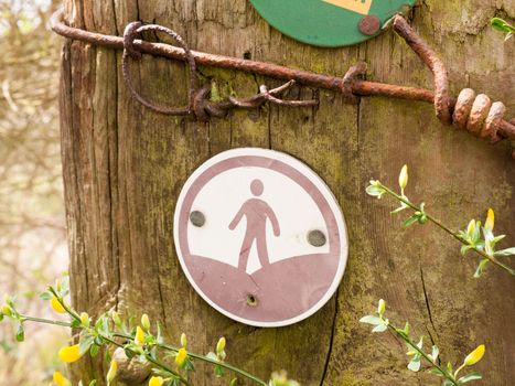 A walking sign on a post with a man in a circle trail leading the direction path