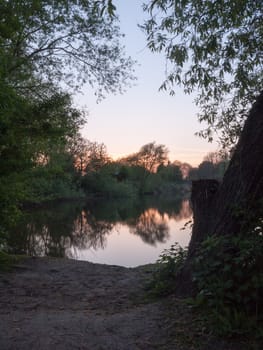 sunset at a lake tree reflections night time beautiful in spring forest