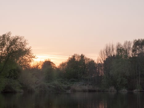 a beautiful sunset over a lake with trees and reeds colours vibrant and peaceful