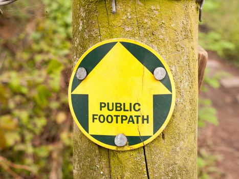 a public footpath sign in the forest leading the way on a trail in spring while walking