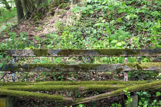 Old wooden bench with moss in a forest