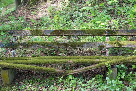 Old wooden bench with moss in a forest