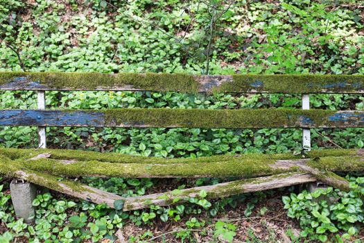 Old wooden bench with moss in a forest