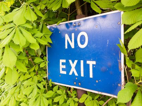 a blue and white sign saying no exit outside near a car park restriction in the bushes and trees law roads motorists cars