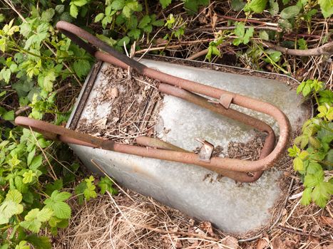 an upside down rusted and discarded thrown away wheel barrow made of metal and decaying on the ground ornament design gardening allotment planting growing in spring light shining