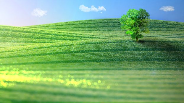 Landscape of verdant hills topped by a tree in the spring. 3D rendering.