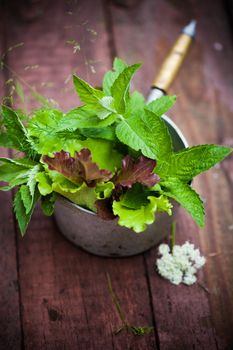 Fresh lettuce in rustic cup on a wooden background 